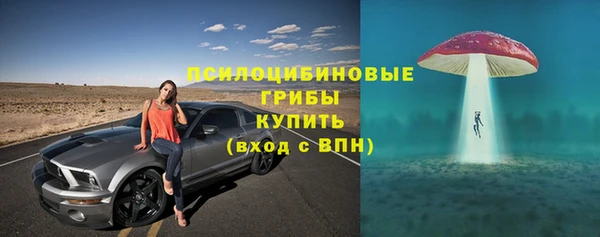 МДПВ Арсеньев