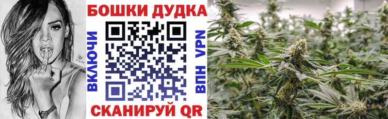Бошки марихуана индика  купить наркоту  Спасск 